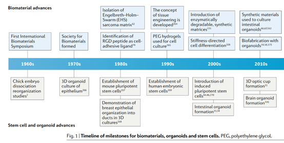 文献导读：用于类器官培养的组织工程材料(图1)