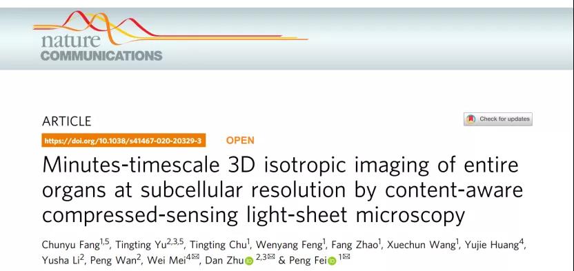 Nat Comm | 费鹏/朱䒟/梅伟合作发展新荧光显微镜技术算法实现全器官/组织的快速高分辨三维成像(图1)