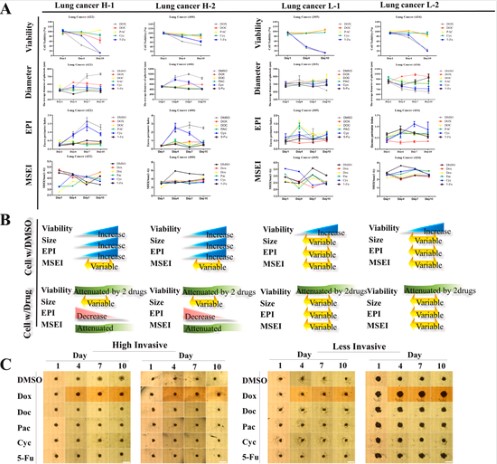 东南大学苏州医疗器械研究院在《Biomaterials》发表肿瘤芯片人工智能分析最新研究进展(图5)