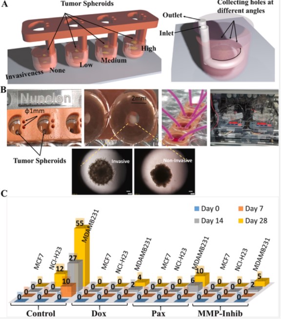 东南大学苏州医疗器械研究院在《Biomaterials》发表肿瘤芯片人工智能分析最新研究进展(图6)